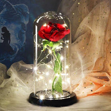Charger l'image dans la galerie, Rose Enchantée Artificielle Artificial &amp; Dried Flowers Rouge 03 
