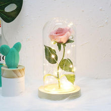 Charger l'image dans la galerie, Rose Enchantée Artificielle Artificial &amp; Dried Flowers Rose 
