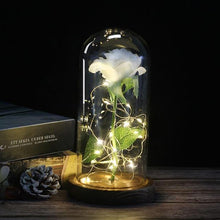 Charger l'image dans la galerie, Rose Enchantée Artificielle Artificial &amp; Dried Flowers Blanc gris 
